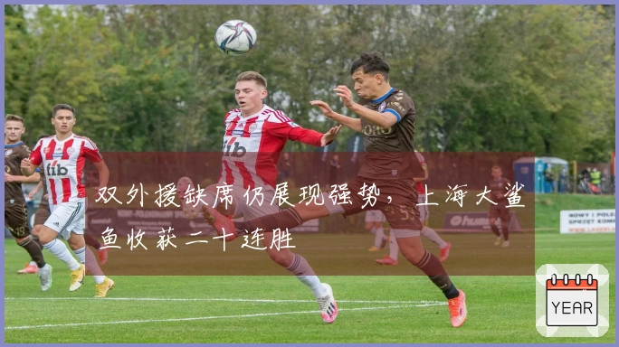 双外援缺席仍展现强势，上海大鲨鱼收获二十连胜