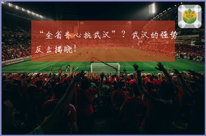“全省齐心抗武汉”？武汉的强势反击揭晓！
